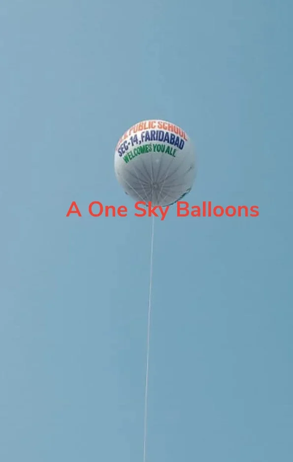 School Advertising Sky Balloons — Inflatable Manufacturer Delhi