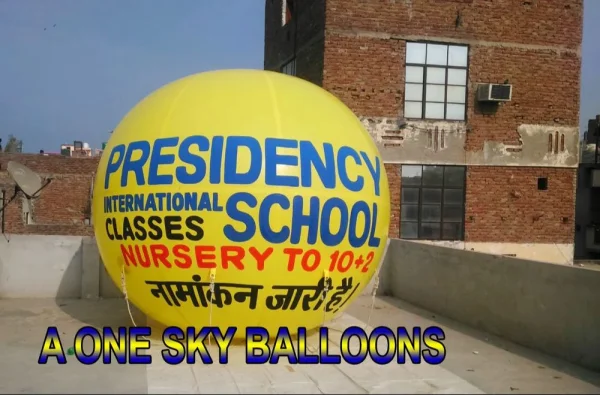 Sky Balloons school — Inflatable Manufacturer Delhi